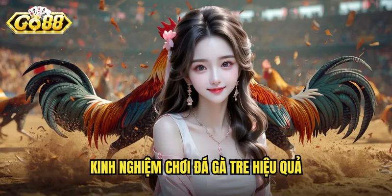 Đá Gà Tre Go88 - Nét Văn Hóa Truyền Thống Trong Môi Trường Hiện Đại 3 Kinh nghiệm chơi đá gà tre hiệu quả