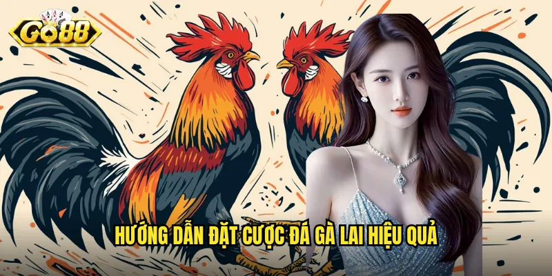Hướng dẫn đặt cược đá gà lai hiệu quả
