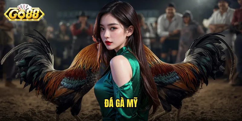 đá gà Mỹ