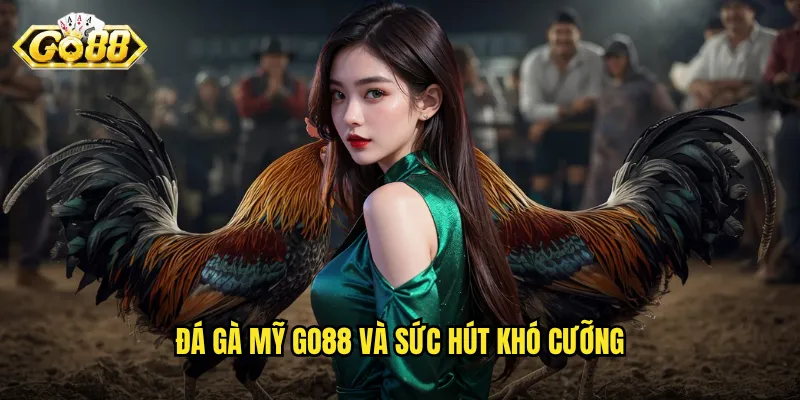 Đá gà Mỹ Go88 và sức hút khó cưỡng