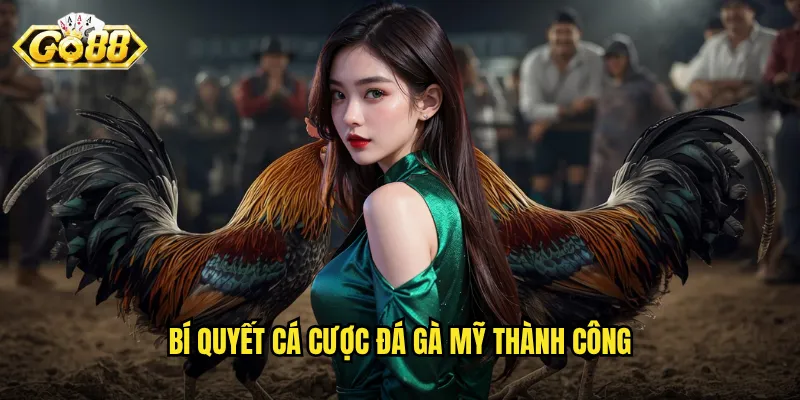 Bí quyết cá cược đá gà Mỹ thành công