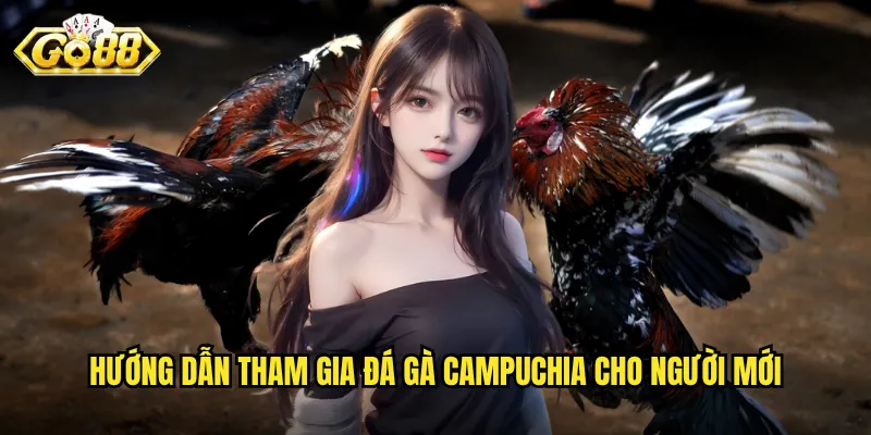 Hướng dẫn tham gia đá gà Campuchia cho người mới