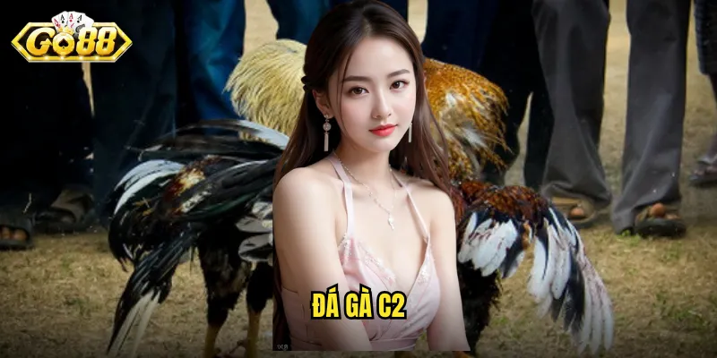 Đá Gà C2 Go88 - Trận Đấu Livestream Sắc Nét Mọi Giây Phút 1 đá gà c2
